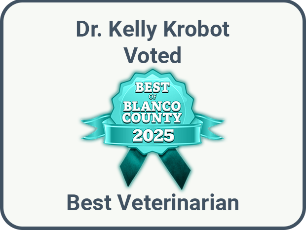 Best Veterinarian of 2025